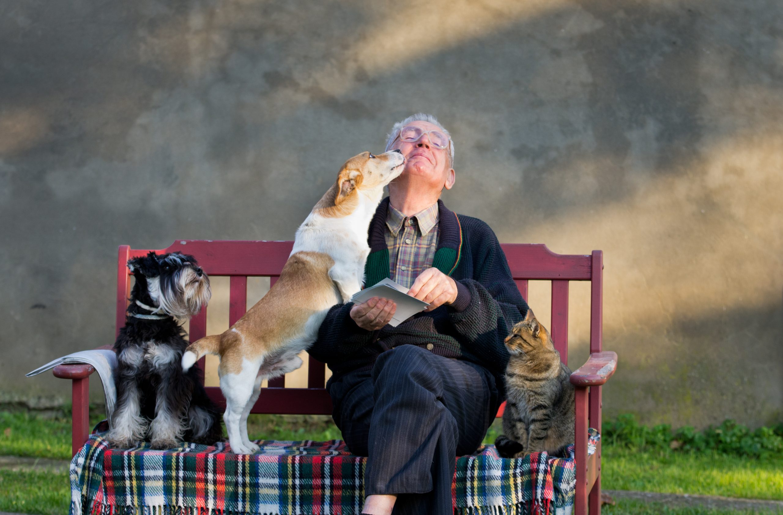 A senior sitting on a park bench with his dog and cat.