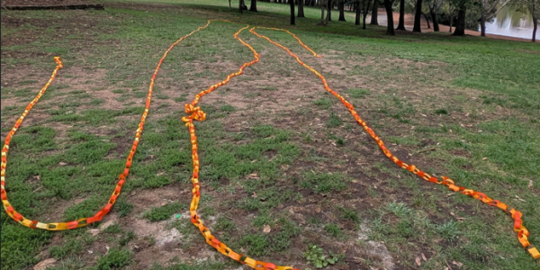 Harmony Day: celebrating diversity