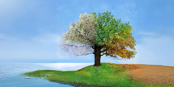 Seasons-for-Growth-–-Adult-Program Seasons-for-Growth-–-Adult-Program